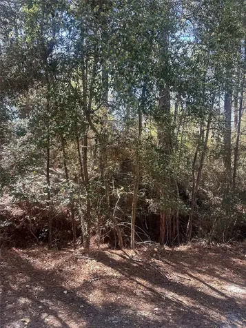 Lot 67/68 Wildwood Harbor Onalaska TX 77360