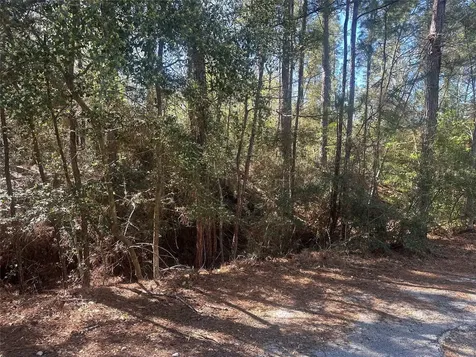 Lot 67/68 Wildwood Harbor Onalaska TX 77360