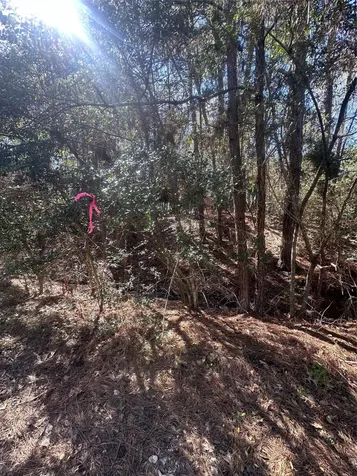 Lot 67/68 Wildwood Harbor Onalaska TX 77360