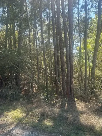 Lot 67/68 Wildwood Harbor Onalaska TX 77360