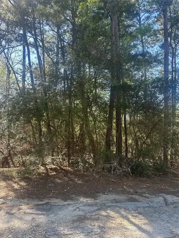 Lot 67/68 Wildwood Harbor Onalaska TX 77360