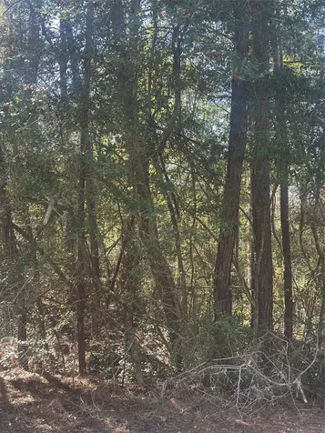 Lot 67/68 Wildwood Harbor Onalaska TX 77360