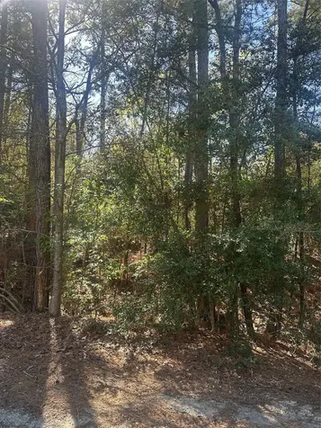 Lot 67/68 Wildwood Harbor Onalaska TX 77360