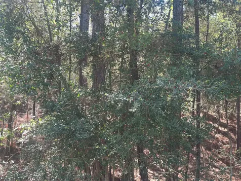 Lot 67/68 Wildwood Harbor Onalaska TX 77360