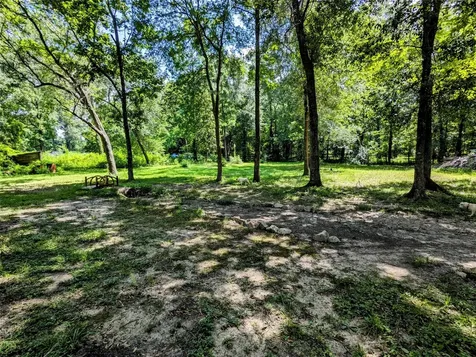 134 Plum Grove Court New Caney TX 77357