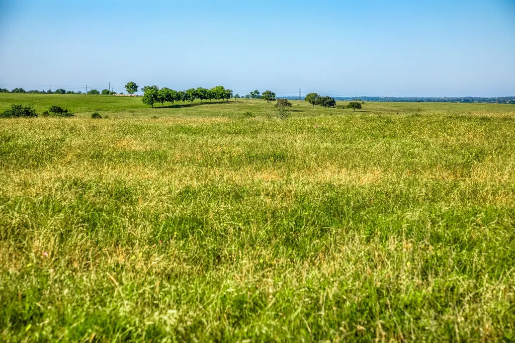 5005 Fuchs Road - Lot 7 Burton TX 77835
