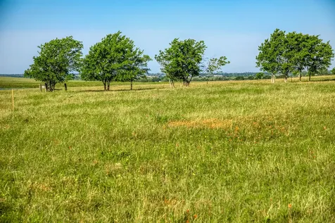 5005 Fuchs Road - Lot 7 Burton TX 77835