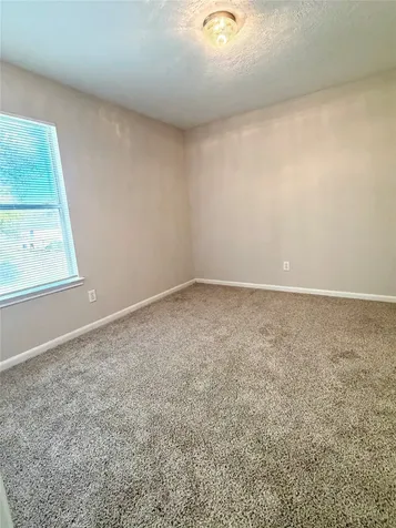 13952 Buckskin Drive Willis TX 77378