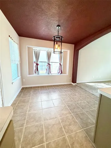 13952 Buckskin Drive Willis TX 77378