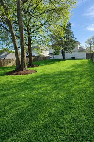 13952 Buckskin Drive Willis TX 77378