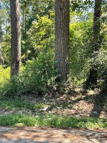 0 Idle Wild Road New Caney TX 77357