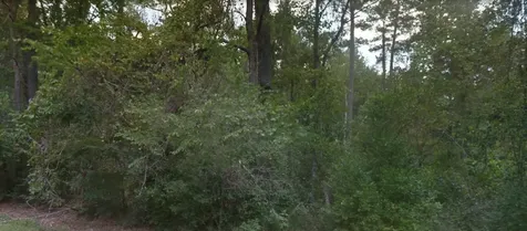 0 Idle Wild Road New Caney TX 77357