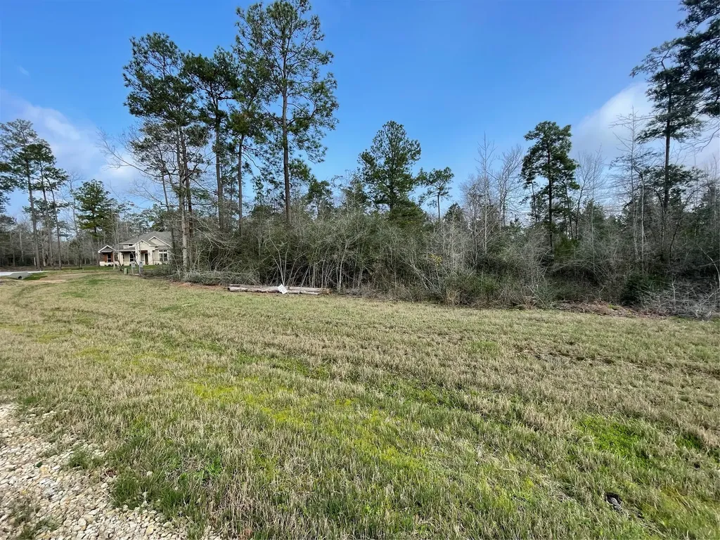 122 Signal Road New Waverly TX 77358