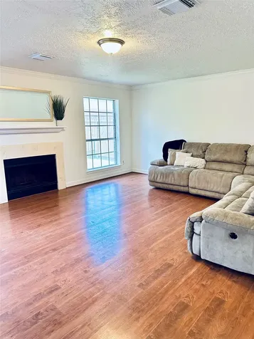 10202 Jockey Club Drive Houston TX 77065