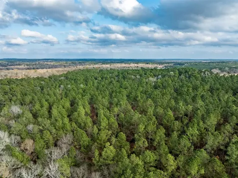 0 State Highway 155 Palestine TX 75803