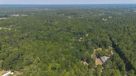 1031 Morris Creek Road Coldspring TX 77331