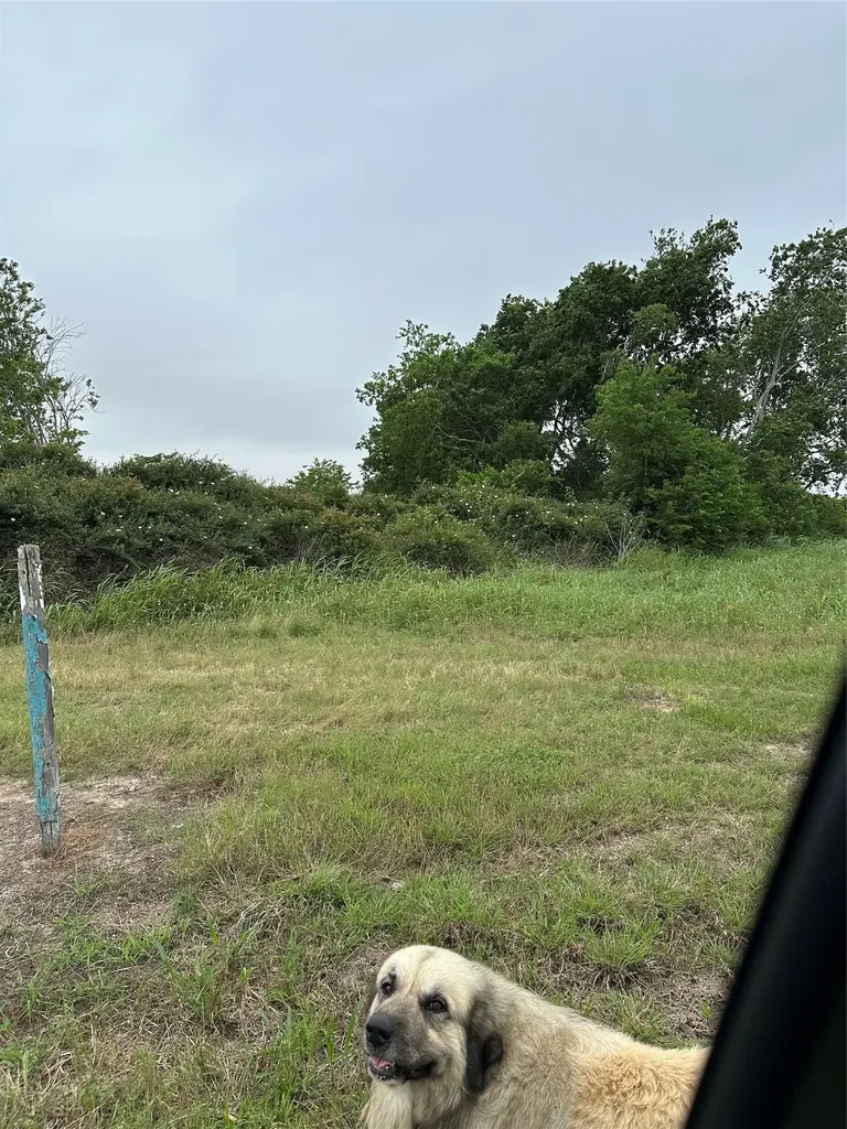 0 W County Road 465 Texaco Road Blessing TX 77419