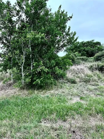0 W County Road 465 Texaco Road Blessing TX 77419