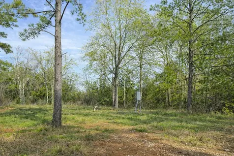 8133 N Cr 100 Leona TX 75850