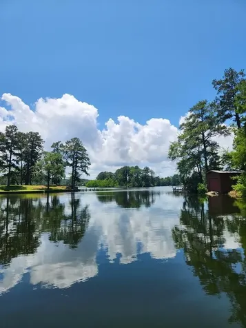 719 Hickory Hill Drive Burkeville TX 75932