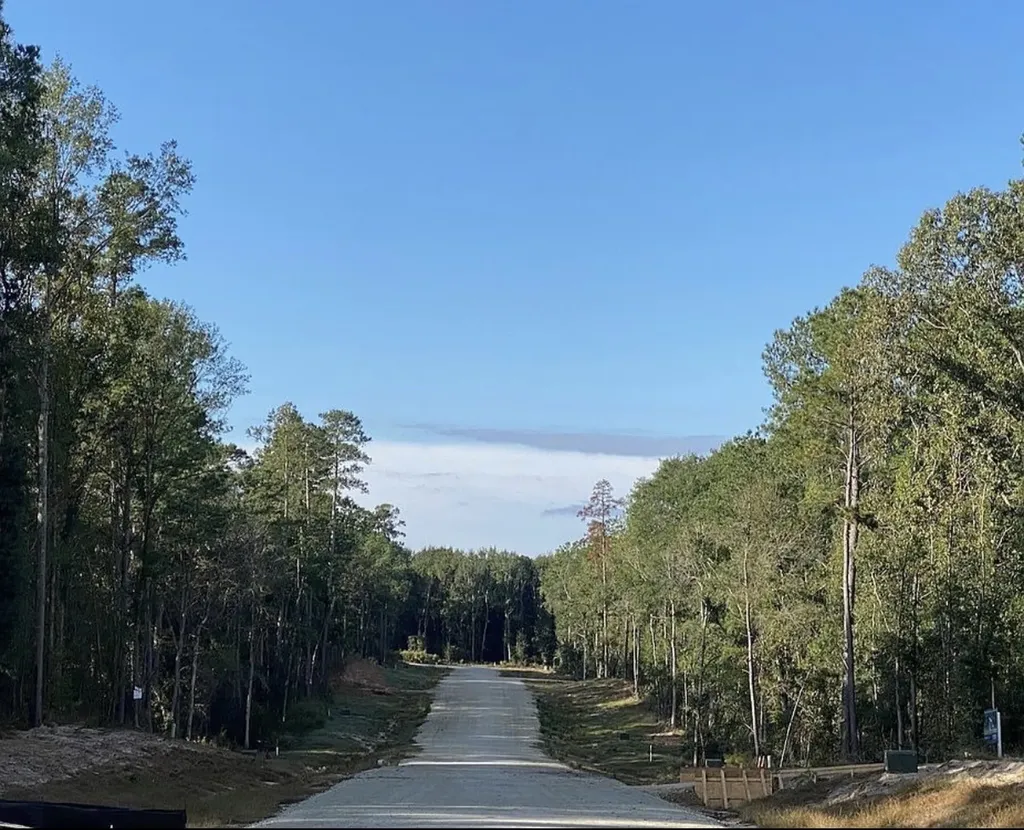 236 Hollow Hill Road New Waverly TX 77358
