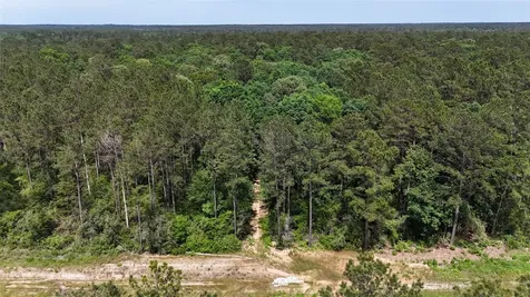 16308 Golden Wood Court Willis TX 77378