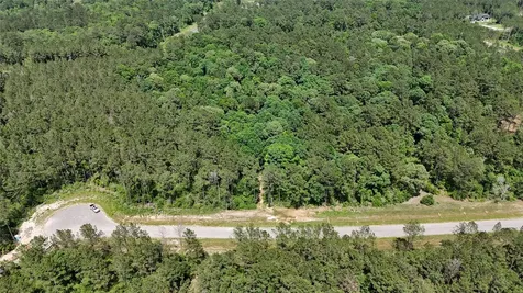 16308 Golden Wood Court Willis TX 77378