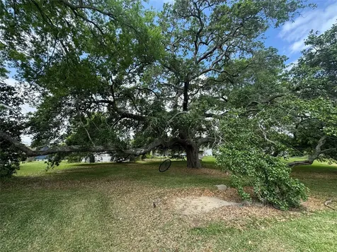 27 Cotton Bayou Circle Cove TX 77523