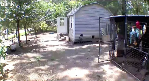 318 Ridgewood Road Goodrich TX 77335
