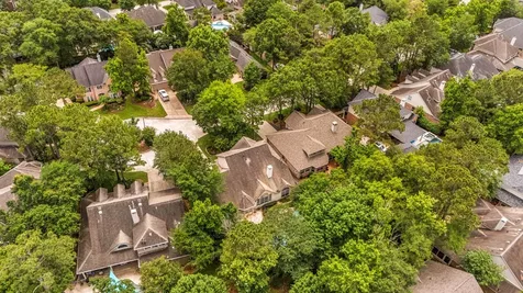 10 Latticeleaf Place The Woodlands TX 77382
