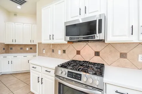 22114 Blossom Meadow Court Katy TX 77494