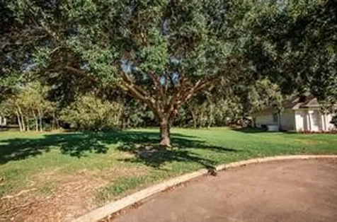 4 Stoneybrook Lane Bay City TX 77414