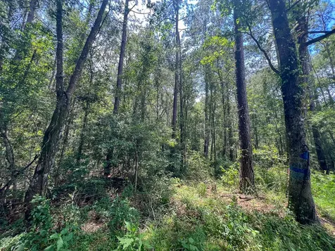 2 County Road 821 Mauriceville TX 77612