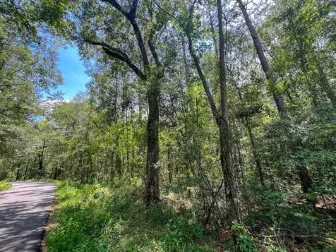 2 County Road 821 Mauriceville TX 77612