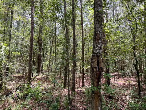 2 County Road 821 Mauriceville TX 77612