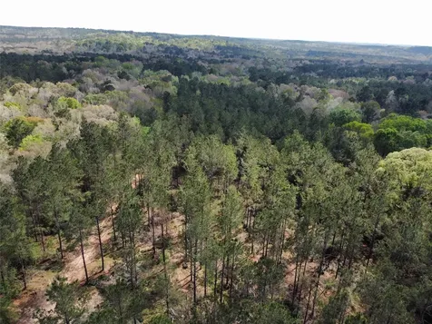 Tbd Fm 138 Center TX 75935