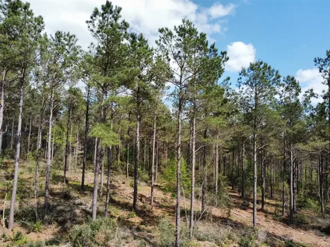 Tbd Fm 138 Center TX 75935