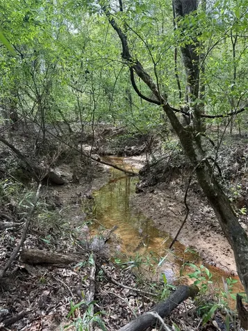 Tbd Fm 138 Center TX 75935