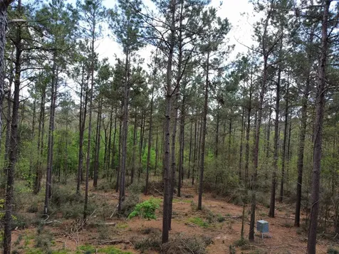 Tbd Fm 138 Center TX 75935