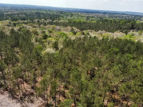 Tbd Fm 138 Center TX 75935