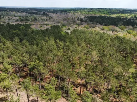 Tbd Fm 138 Center TX 75935