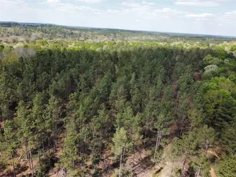 Tbd Fm 138 Center TX 75935