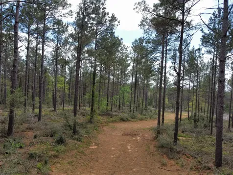 Tbd Fm 138 Center TX 75935