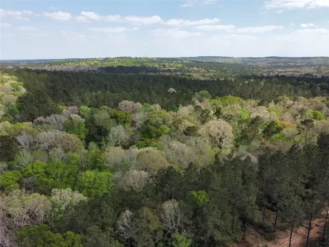 Tbd Fm 138 Center TX 75935