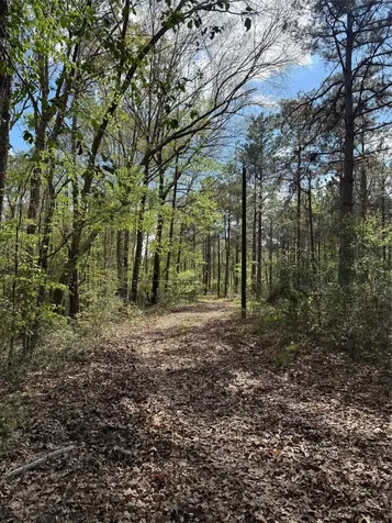 Tbd Fm 138 Center TX 75935