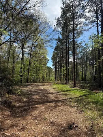 Tbd Fm 138 Center TX 75935
