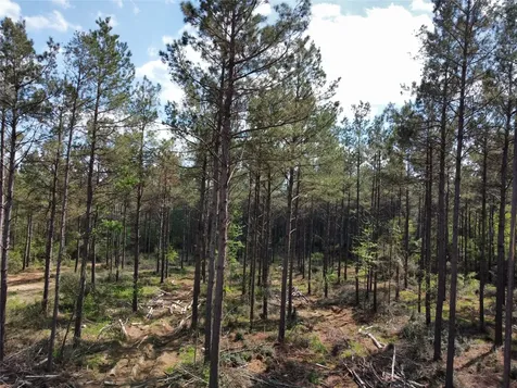 Tbd Fm 138 Center TX 75935