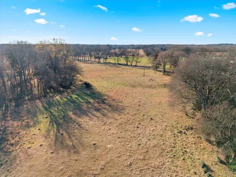 4315 County Road Cookville TX 75571