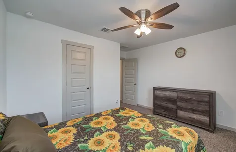 3706 Jayci Lake Trace Missouri City TX 77459
