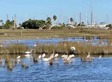 9115 W Bay Road Galveston TX 77554